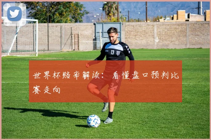 世界杯赔率解读：看懂盘口预判比赛走向