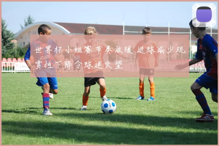 世界杯小组赛节奏放缓 进球减少观赏性下降令球迷失望